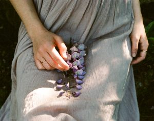 hands of girl holding wisteria shot on 35mm kodak portra 400